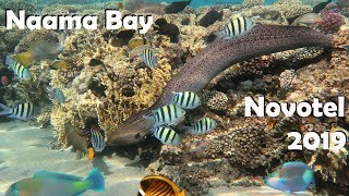 Underwater Novotel Beach Sharm-el-Sheikh, Naama Bay 🦀 Подводный мир Шарм-Эль-Шейх Красное море 🐡