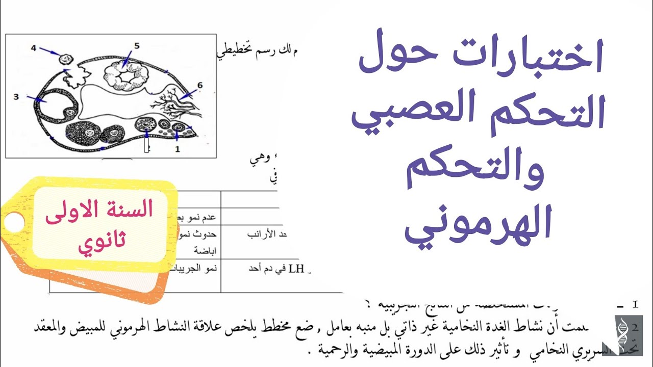 تمارين حول التحكم العصبي والتحكم الهرموني اولى ثانوي