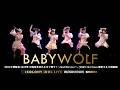 ベイビーウルフ [ 2025.12.31 ＠ 東京キネマ倶楽部 ] IDOL大博覧会 2025年 大晦日年忘れキネマ祭り！～Shall We Live？～｜iCOLONY iDOL LiVE