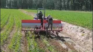 6-Row Corn & Wheat Seeder with Fertilizer Applicator | High Efficiency Agricultural Planting Machine