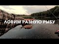 Трейлер - Мормышинг, Мормонимфинг,Нано джиг, Микро джиг, Спиннинг XUL, FLY FISHING и не только