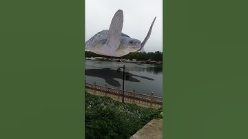 Big turtle swimming in the air 🤯 3D Special Effects | 3D Animation #shorts