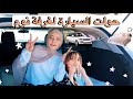 كيف حولت السيارة لغرفة نوم وبشو فاجأت بابا في يوم ميلاده رهف برو 2021