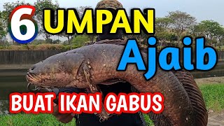 Umpan alami Gabus Liar // Umpan Jitu Ikan Gabus Liar yang Malas Makaan screenshot 5