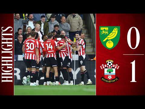 AWAY DAY W | Norwich City 0-1 Southampton | Championship