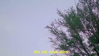 Papinka  Pencuri Hati  Lirik 