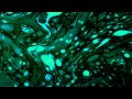 Tim Green - Helpless Sun (Official Video)