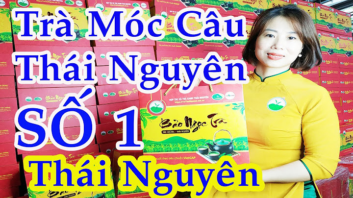 Top 10 Lý Do Chọn Trà Móc Câu Tân Cương Bảo Ngọc Cho Sức Khỏe