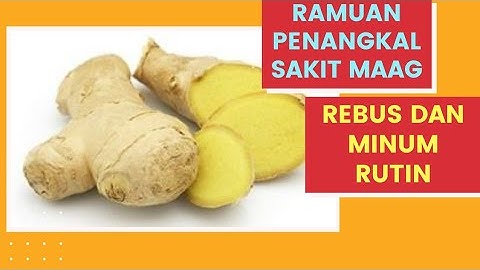 Kunyit Putih Obat Sakit Lambung PALING Mujarab