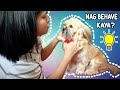 TIPS KUNG PAANO I-TRIM ANG HAIR NG SHIH TZU | HEAD GROOMING | DIY GROOMING | PAANO MAG GROOM NG DOG