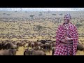 LIVE President Ruto In Maasai Mara For Wildebeest Migration LIVE President Ruto In Maasai Mara For Wildebeest Migration