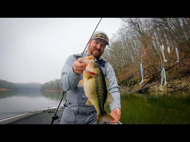 Cold Water A-Rigs Tricks For Bass 