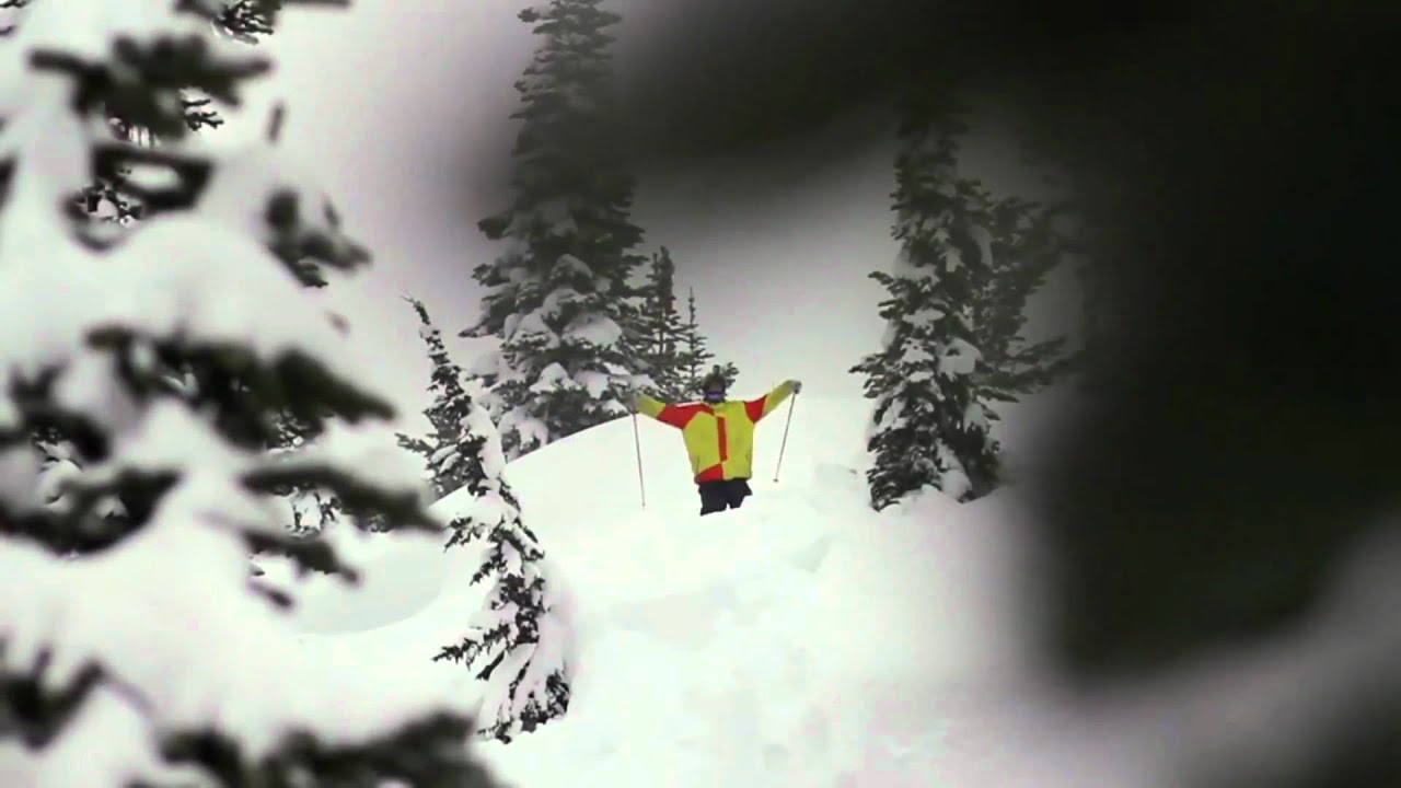 OutoftheShadows - DendriteStudios Chris Turpin