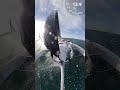 17 Knots on a Corsair 760 Trimaran