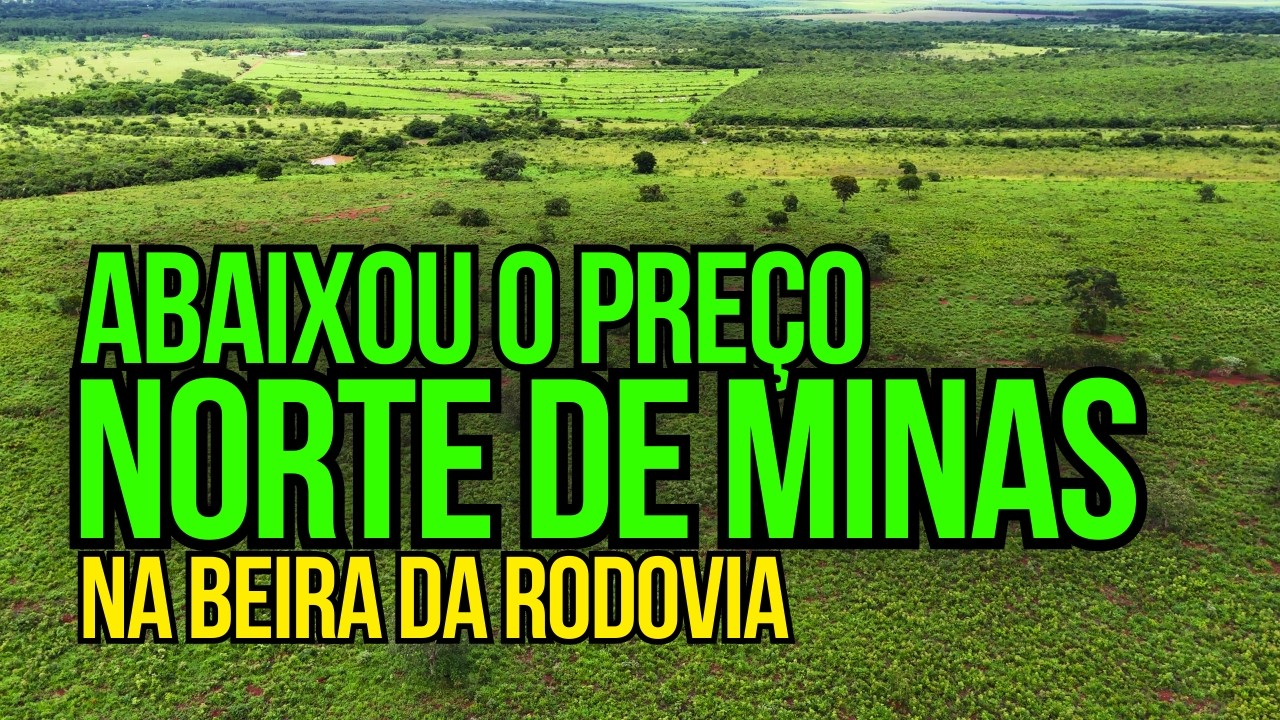 A MELHOR FAZENDA À VENDA NO NORTE DE MINAS GERAIS PARA CAFÉ E CACAU