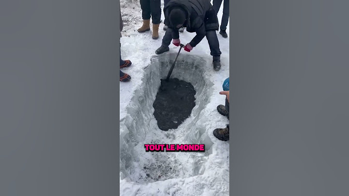 Ces hommes affamés ont mangé un requin des glaces 😱😱