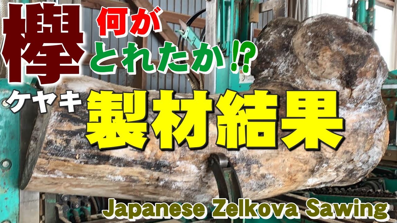 製材結果】こぶ付きケヤキ原木を製材【木の店さんもく】Japanese