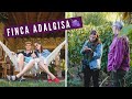 HOTEL DE VINO en Mendoza, Argentina 🍇 | Nuestra Estadía en FINCA ADALGISA + Tour de BODEGA FURLOTTI