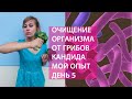 АНТИКАНДИДОЗНАЯ ПРОГРАММА. МОЙ ОПЫТ. ДЕНЬ 5