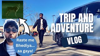 Going For a Trip Full of Surprise Destinations | Wolf ( Bhediya...) Spotted on USA Road Trip!