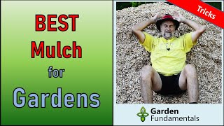 Best Mulch for Ornamental Gardens ♨️🌈🌎 Learn to mulch correctly and grow better plants