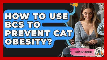 How To Use BCS To Prevent Cat Obesity? - Happy Cat Handbook