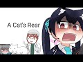 A Cat's Rear (Blue Archive)