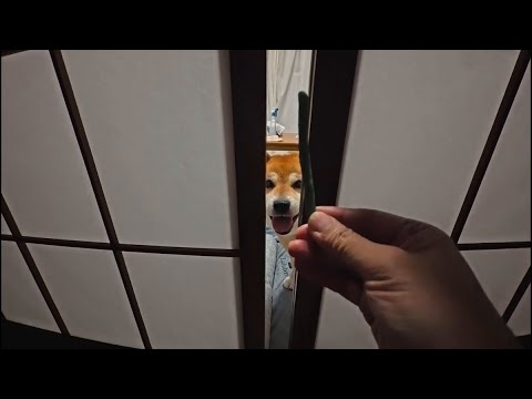 2025年9月12日(金) 隙間5cmから飛び出す笑顔