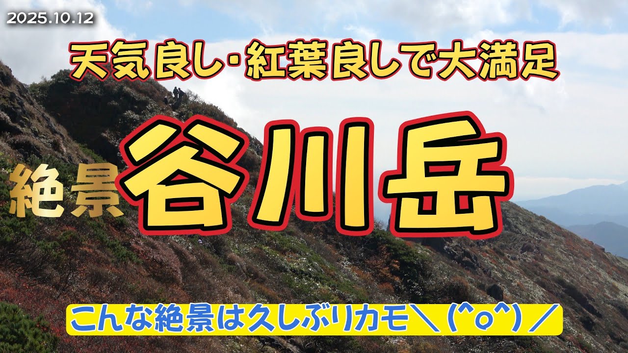 【群馬県・新潟県】ドンピシャな谷川岳（1977ｍ）を爺ちゃん二人で紅葉登山 😄 2025 10 12