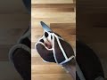 How to Sew a Historical Gladiator Glove | DIY Reenactment Gear #history #gladiator #armor