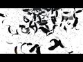 [フリー映像素材]羽が舞う背景動画反転版[無料素材]