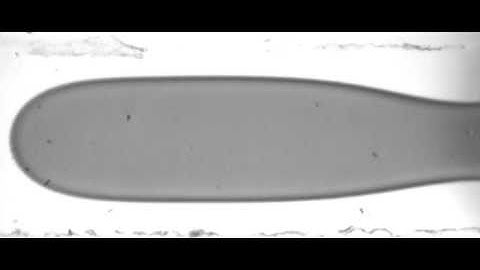 Microfluidic drop maker by co-flowing method SHORT