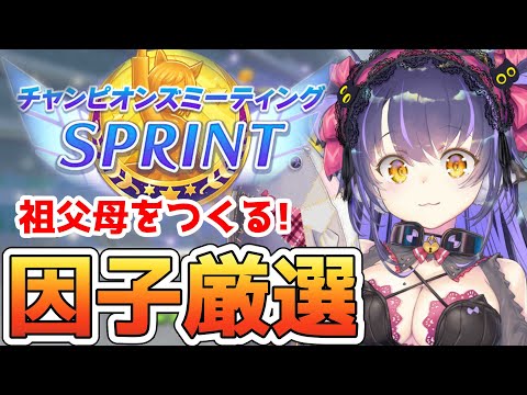 【ウマ娘】短距離因子が引けない日々…ヴィブロス毎日10連回す！！！【くろいけもみみ/Vtuber】