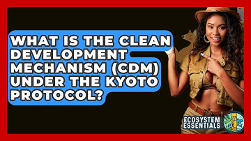 What Is The Clean Development Mechanism (CDM) Under The Kyoto Protocol? - Ecosystem Essentials
