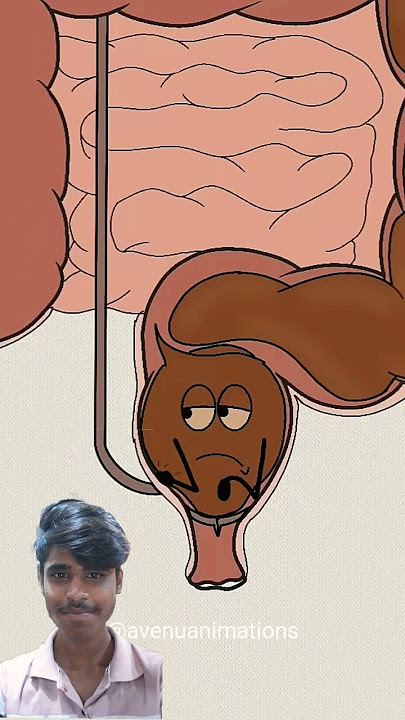 How poop system works! 🤣😂 #animatin #memes #funny #comedy #animation