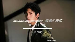 melancholy sunshine (憂傷的晴朗) - slowed reverbed ~ 张哲瀚