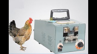 Chine wholesale electric chicken debeaking machine, Chicken beak cutting machine, debeaking tool
