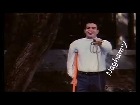 بس انت تغن ي واحنا معاك عمرو دياب آيس كريم في جليم