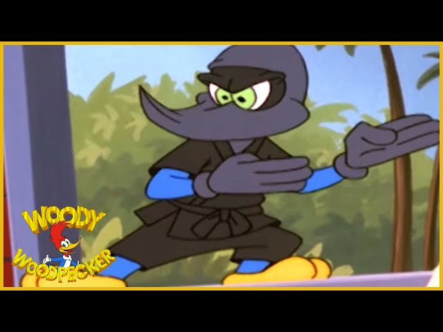 Woody Woodpecker | Holly-Woody | Woody Woodpecker Full Episodes | Kids Cartoon | Videos for Kids class=