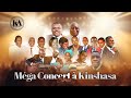 Extrait mga concert au boulevard triomphal de kinshasa 2011