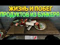 ЧТО ДЕЛАЮТ ПРОДУКТЫ ПОКА ТЫ НЕ СМОТРИШЬ ( Ehvalat of Brendan )