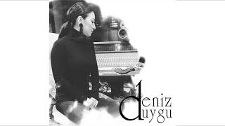 Video thumbnail of "Deniz Duygu - Nefret (Bilal Sonses Cover (Remix))"