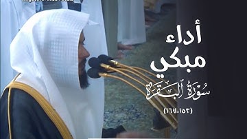 تلاوة عظيمة وأداء مبكي للشيخ د. عبدالله القرافي من سورة البقرة | عشاء الثلاثاء 9-6-1446هـ