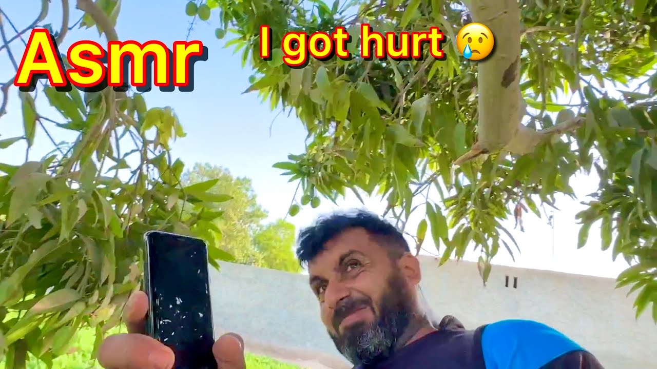 Асмр, мне стало больно 😢 |Сядь на верхушку мангового дерева и съешь его спелым