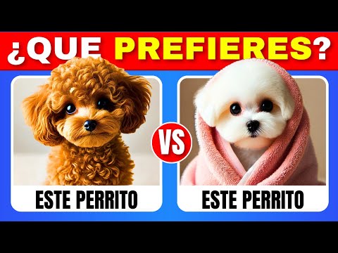 ¿Qué Prefieres? Edición