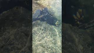 прозрачная вода оаэ #оаэ #отдых #фуджейра #море #миражбабальбахр #прозрачнаявода #miragebabalbahr