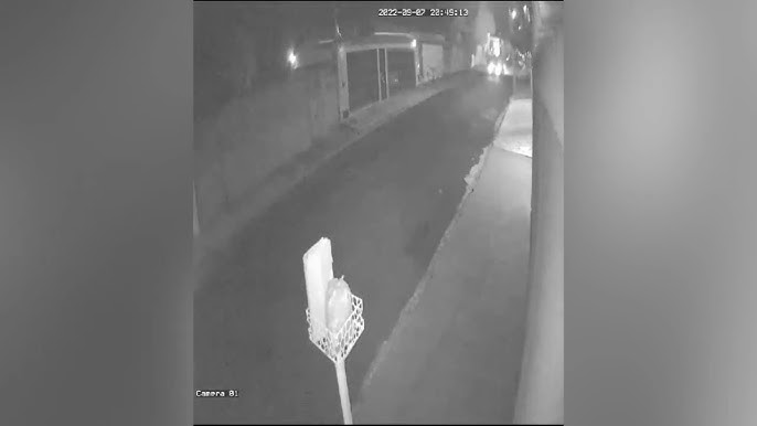 Capivara é flagrada correndo na rua em bairro da zona Oeste de Franca; VÍDEO