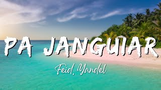 Feid, Yandel - Pa Janguiar (Lyrics/Letra)