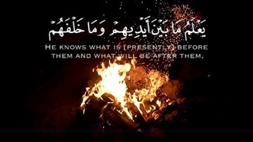 أرح سمعك و قلبك ❤ بتلاوة آية الكرسي📖 للمقرئ ماهر المعيقلي 🗣🎧  #أية_الكرسي #سورة_البقرة