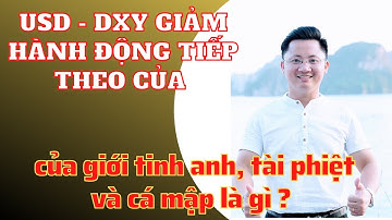 USD - DXY Giảm | Hành Động Tiếp Theo Của Giới Tinh Anh, Tài Phiệt và Cá Mập